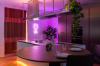 Twinkly Flex | RGB LED Flex Neon | Starter Kit | 200 LEDs | 2m | IP20 | mit APP steuerbar, Bluetooth+WiFi | Anschlußleitung: 2m | Kabel weiß