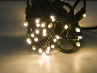 Cord Light LED 230V | 10m | 100 LEDs | 8W | 3000K | warmweiß | Kabel d.grün | IP65 |