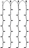ProSystem Modular LED 230V | End-Strings 4x0,8m | 4,6W | 8 LEDs je String | warmweiß | Kabel weiß | IP44 |