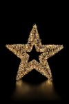 Glamour-Star 60 | gold | DxT: 60x9cm | warmweiß | 1440 LEDs | 31V/6W | inkl. Steckernetzteil | IP44 |
