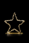 Glamour-Star 40 | gold | HxBxT: 40x40x8cm | warmweiß | 100 LEDs | 4,5V/1,35W | inkl. Steckernetzteil | IP44 |