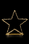 Glamour-Star 60 | gold | HxBxT: 57x59x9cm | warmweiß | 200 LEDs | 4,5V/6W | inkl. Steckernetzteil | IP44 |