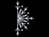 Halbstern – bringt winterlichen Glanz